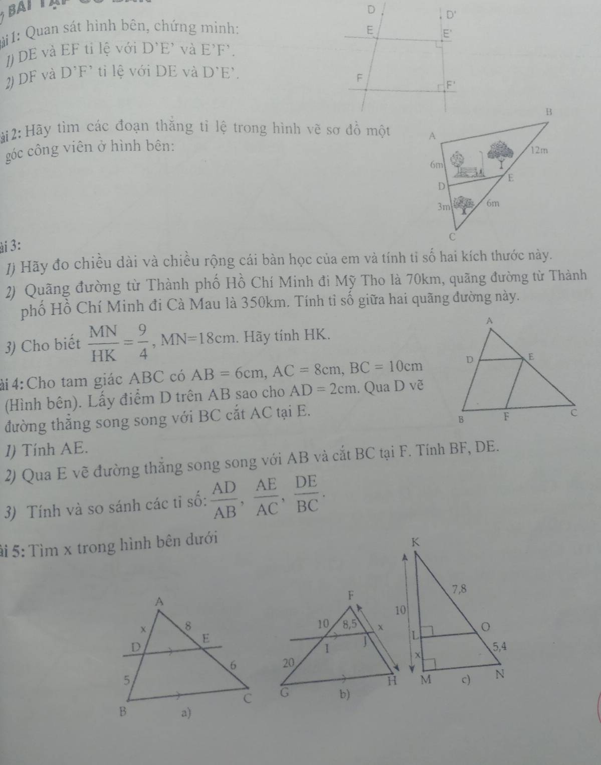 BAI  A
*1:  Quan sát hình bên, chứng mình: 
1) DE và EF tỉ lệ với D'E' và E^(^,)F^,
2) DF và D^(^,)F^(^,) ti lệ với DE và D'E'.
i 2: Hãy tìm các đoạn thăng tỉ lệ trong hình vẽ sơ đồ một 
góc công viên ở hình bên:
ài 3:
J) Hãy đo chiều dài và chiều rộng cái bàn học của em và tính tỉ số hai kích thước này.
2) Quãng đường từ Thành phố Hồ Chí Minh đi Mỹ Tho là 70km, quãng đường từ Thành
phố Hồ Chí Minh đi Cà Mau là 350km. Tính tỉ số giữa hai quãng đường này.
3) Cho biết  MN/HK = 9/4 ,MN=18cm. Hãy tính HK.
ài 4:Cho tam giác ABC có AB=6cm,AC=8cm,BC=10cm
(Hình bên). Lấy điểm D trên AB sao cho AD=2cm. Qua D vẽ
đường thẳng song song với BC cắt AC tại E.
I) Tính AE.
2) Qua E vẽ đường thắng song song với AB và cắt BC tại F. Tính BF, DE.
3) Tính và so sánh các tỉ số:  AD/AB , AE/AC , DE/BC .
ài 5: Tìm x trong hình bên dưới