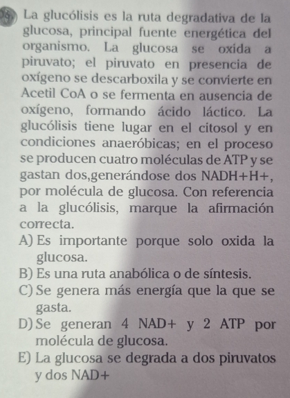 La glucólisis es la ruta degradativa de la
glucosa, principal fuente energética del
organismo. La glucosa se oxida a
piruvato; el piruvato en presencia de
oxígeno se descarboxila y se convierte en
Acetil CoA o se fermenta en ausencia de
oxígeno, formando ácido láctico. La
glucólisis tiene lugar en el citosol y en
condiciones anaeróbicas; en el proceso
se producen cuatro moléculas de ATP y se
gastan dos,generándose dos NADH+H+, 
por molécula de glucosa. Con referencia
a la glucólisis, marque la afirmación
correcta.
A) Es importante porque solo oxida la
glucosa.
B) Es una ruta anabólica o de síntesis.
C) Se genera más energía que la que se
gasta.
D) Se generan 4NAD+y2ATI por
molécula de glucosa.
E) La glucosa se degrada a dos piruvatos
y dos NAD+