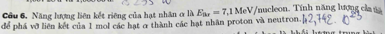 Năng lượng liên kết riêng của hạt nhân α là E_lkr=7 ,1 MeV/nucleon. Tính năng lượng cần thứ 
để phá vỡ liên kết của 1 mol các hạt α thành các hạt nhân proton và neutron.