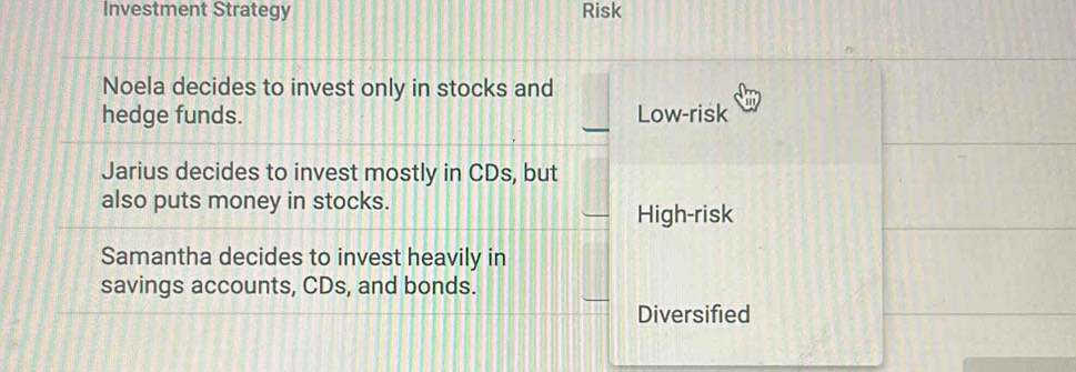 Investment Strategy Risk