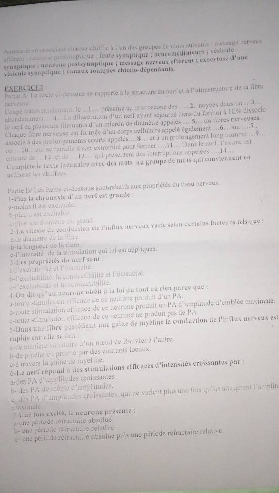 Annote-le en associant chaque chiffre à l'un des groupes de mots suivants : message nerveux
afférent : neurone presynaptique ; fente synaptique ; neuromédiateurs ; vésicule
synaptique : neurone postsynaptique ; message nerveux efférent ; exocytose d'une 
vésicule synaptique : canaux ioniques chimio-dépendants.
EXERCICE2
Partie A Le texte cl-dessous se rapporte à la structure du nerf et à l'ultrastructure de la fibre
nerveuse
Coupé transversalement, le ...1... présente au microseope des ....2., noyées dans un ..3...
abondamment . 4. . La dilacération d'un nerf ayant séjourné dans du formol à 10% dissocie
le nert en plusieurs filaments d'un micron de diamètre appelés ...5... ou fibres nerveuses.
Chaque fibre nerveuse est formée d'un corps cellulaire appelé également ..6.. ou ...7..
associé à des prolongements courts appelés ..8... et à un prolongement long nomme ..9...
ou .10..qui se ramifie à son extrémité pour former ...11... Dans le nert, l'a xone est
entoure de 12. et de .13. qui présentent des interruptions appelées ...14 ..
Compiète le texte lacunaire avec des mots ou groupe de mots qui conviennent en
utilisant les chiffres.
Partie B/ Les items ci-dessous sont-relatifs aux propriétés du tissu nerveux
1-Plus la chronaxie d’un nerf est grande :
a-moins il est excitable.
b-plus il est excitable
e-plus son diamètre est grand 
2-La vitesse de conduction de l'influx nerveux varie selon certains facteurs tels que :
e diamètre de la tibre.
b-la longueur de la fibre.
c-l'intensité de la stimulation qui lui est appliquée.
3-Les propriétés du nerf sont :
a-l'excitabilité et l'élasticité
b-l'excitabilité, la conductibilité et l'élasticité.
c-l'excitabilité et la conductibilité.
4-On dit qu’un neurone obéit à la loi du tout ou rien parce que :
a-toute stimulation éfficace de ce neurone produit d'un PA.
b-toute stimulation efficace de ce neurone produit un PA d'amplitude d'emblée maximale.
c-toute stimulation efficace de ce neuroné ne produit pas de PA.
5-Dans une fibre possédant une gaine de myéline la conduction de l'influx nerveux est
rapide car clie se fait :
a-de manière saltatoire d'un nœud de Ranvier à l'autre.
b-de proche en proène par des courants locaux.
e-à travers la gaine de myéline.
6-Le nerf répond à des stimulations efficaces d'intensités croissantes par :
a-des PA d’amplitudes croissantes
b- des PA de même d'amplitudes.
e- des PA d'amplitudes croissantes, qui ne varient plus une fois qu'ils atteignent lamplité
maximale.
7-Une fois excité, le neurone présente :
a- une période réfractaire absolue.
b- une période réfractuire rélutive
□° une période réfractaire absolue puis une période réfractaire relative.