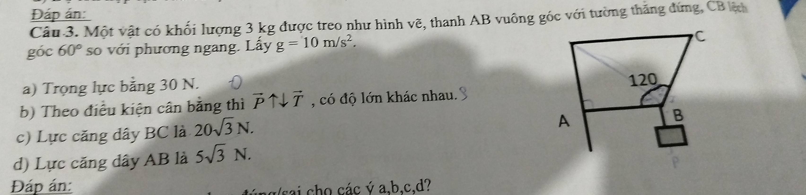 Đáp án: 
Câu 3. Một vật có khối lượng 3 kg được treo như hình vẽ, thanh AB vuông góc với tường thăng đứng, CB lệc 
góc 60° so với phương ngang. Lấy g=10m/s^2. 
a) Trọng lực bằng 30 N. 
b) Theo điều kiện cân bằng thì vector Puparrow downarrow vector T , có độ lớn khác nhau. 
c) Lực căng dây BC là 20sqrt(3)N. 
d) Lực căng dây AB là 5sqrt(3)N. 
Đáp án: sai cho các ý a, b, c, d?