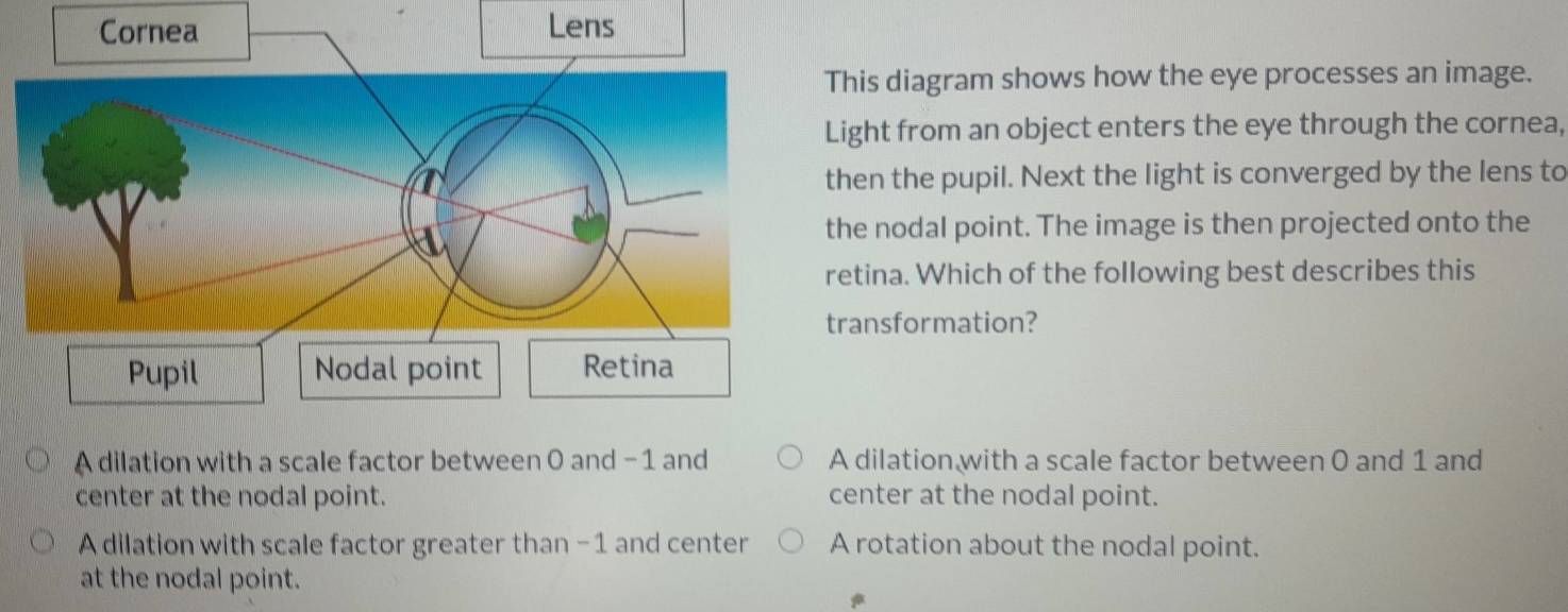 his diagram shows how the eye processes an image.
ight from an object enters the eye through the cornea,
hen the pupil. Next the light is converged by the lens to
he nodal point. The image is then projected onto the
etina. Which of the following best describes this
ransformation?
A dilation with a scale factor between 0 and -1 and A dilation with a scale factor between 0 and 1 and
center at the nodal point. center at the nodal point.
A dilation with scale factor greater than -1 and center A rotation about the nodal point.
at the nodal point.