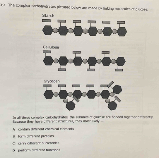 The complex carbohydrates pictured below are made by linking molecules of glucose.
Cellulose
In all three complex carbohydrates, the subunits of glucose are bonded together differently.
Because they have different structures, they most likely —
A contain different chemical elements
B form different proteins
C carry different nucleotides
D perform different functions