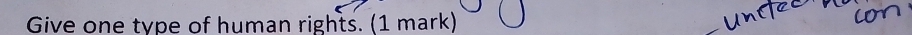 Give one type of human rights. (1 mark)