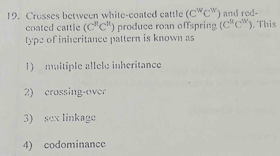 Crosses between white-coated cattle (C^WC^W) and rod- 
coated cattle (C^RC^R) produce roan offspring (C^RC^W). This 
type of inheritance pattern is known as 
1) multiple allèle inheritance 
2) crossing-over 
3) sex linkage 
4) codominance