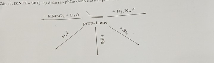 [KNTT - SBT] Dự đoán sản phẩm chính chở m
+H_2, Ni, t°
+KMnO_4+H_2O
prop-1-ene
xt, t°
+Br_2