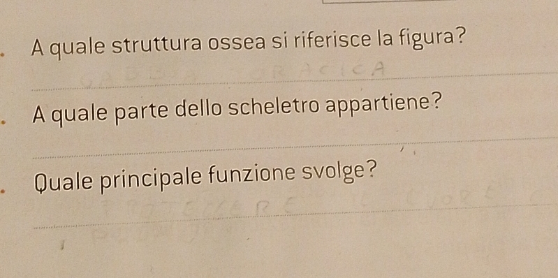 A quale struttura ossea si riferisce la figura? 
_ 
_ 
A quale parte dello scheletro appartiene? 
Quale principale funzione svolge? 
_