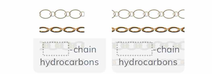 chain -chain
hydrocarbons hydrocarbons