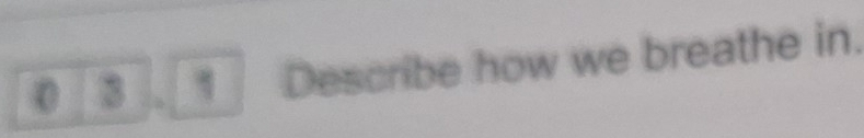 0 3 . η Describe how we breathe in.