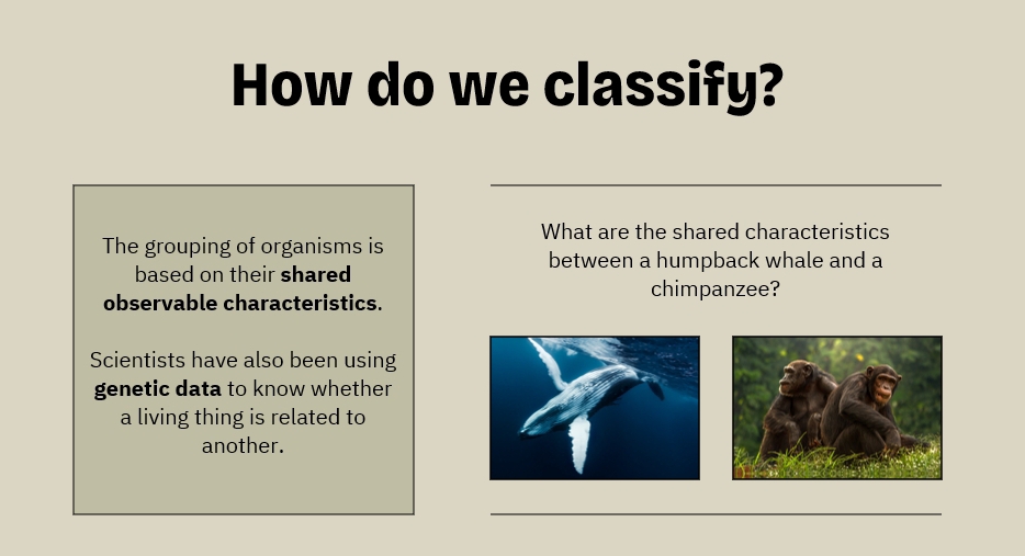 How do we classify?What are the shared characteristicsThe grouping of ...