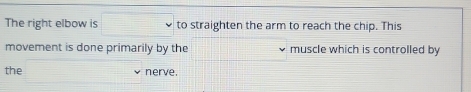 The right elbow is frac _=frac □ _□ ^circ  to straighten the arm to reach the chip. This 
movement is done primarily by the muscle which is controlled by 
the r= 1/2 * (2+sqrt(3))=frac 1/2 nerve.