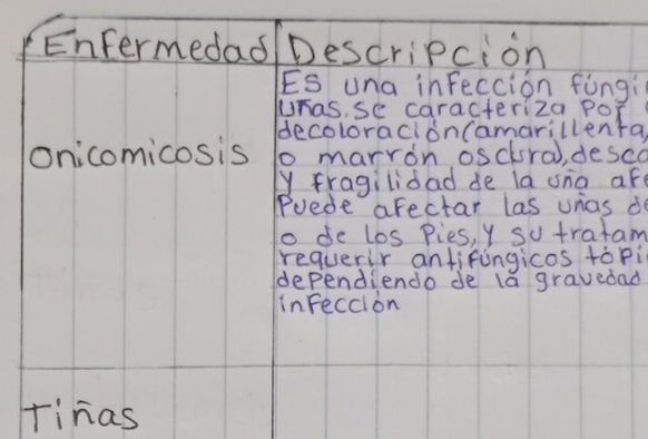 Entermedad/Descripcion 
Es una infection fòngi 
Whas, se caracteriza POr 
decoloracion(amarillenta, 
onicomicosis do marron osckral, desca 
y fragilidad de la una afe 
Puede arectar las unas df 
o de los Pies, y su tratam 
requerir antifingicos topi 
dependiendo de la gravedad 
inFection 
rinas