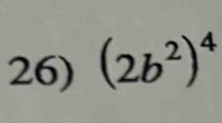 (2b^2)^4