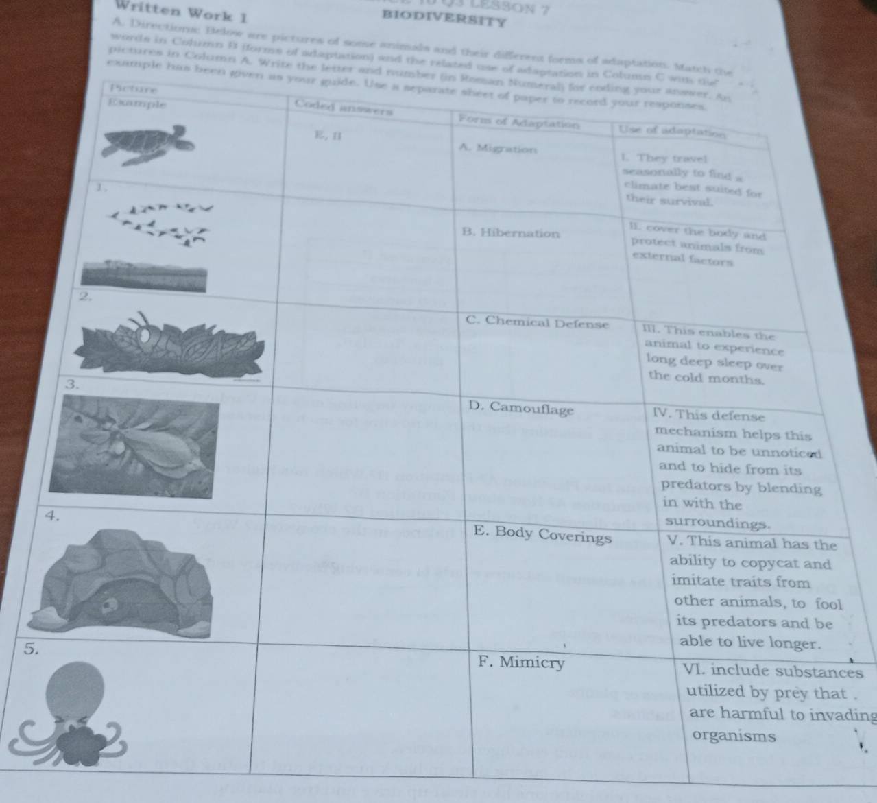 LESSON 7 
Written Work 1 
BIODIVERSITY 
A. Directions: Below are pictures of some animals and their differen 
words in Column B (forms of adaptation 
pictures in Colu 
l 
5.ces 
t . 
ading