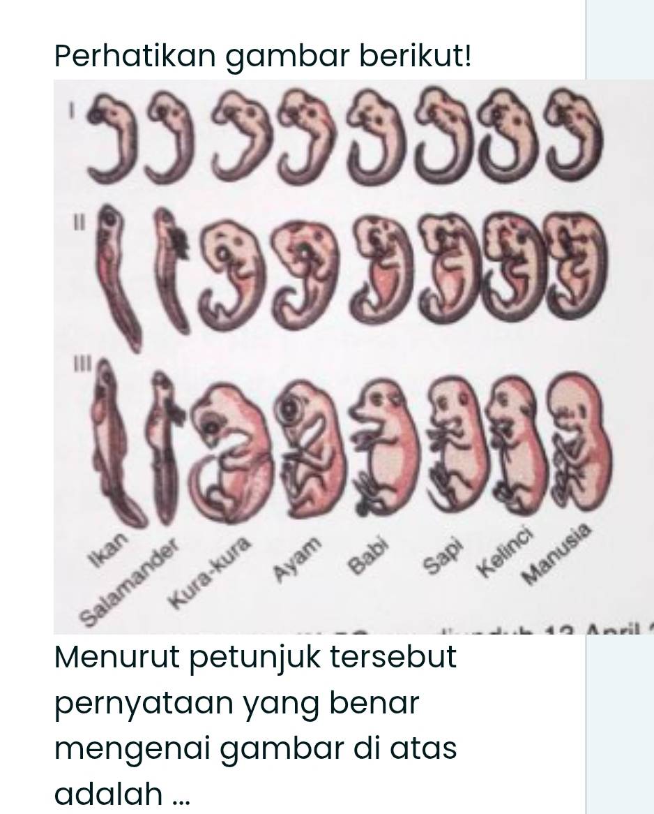 Perhatikan gambar berikut! 
Menurut petunjuk tersebut 
pernyataan yang benar 
mengenai gambar di atas 
adalah ...