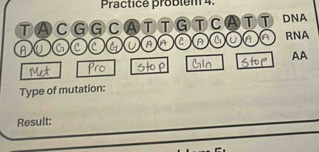 Practice problém 4: 
T A C C a T T G T C A T T DNA 
A U 6 C C G U A A C A G U A A RNA 
AA 
Type of mutation: 
Result: