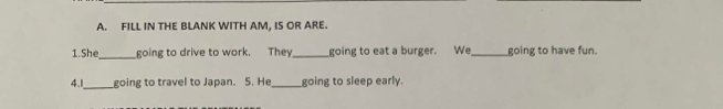 FILL IN THE BLANK WITH AM, IS OR ARE. 
1.She_ going to drive to work. They_ going to eat a burger. We _going to have fun. 
4.1_ going to travel to Japan. 5. He_ going to sleep early.