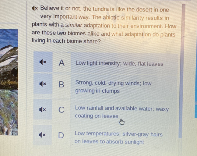 Believe it or not, the tundra is like the desert in one
very important way. The abiotic similarity results in
plants with a similar adaptation to their environment. How
are these two biomes alike and what adaptation do plants
living in each biome share?
A Low light intensity; wide, flat leaves
× B Strong, cold, drying winds; low
growing in clumps
× C Low rainfall and available water; waxy
coating on leaves
× Low temperatures; silver-gray hairs
on leaves to absorb sunlight