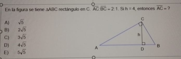 En la figura se tiene △ ABC rectángulo en C. overline AC:overline BC=2:1. Si h=4 ,entonces overline AC= ?
A) sqrt(5)
B) 2sqrt(5)
C) 3sqrt(5)
D) 4sqrt(5)
E) 5sqrt(5)
a