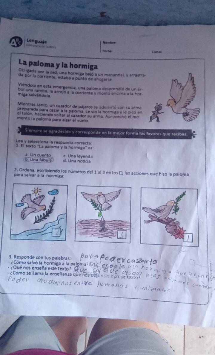 Nombre
Lenguaje Co p nston t
Fecha: Curso:
La paloma y la hormiga
Ouligada por la sed, una hormiga bajó a un manantial, y arrastra-
da por la corriente, estaba a punto de ahogarse
Viêndola en esta emergencia, una paloma desprendió de un ár
bol una ramita, la arrojó a la corriente y montó encima a la hor
miga salvándola.
Mientras tanto, un cazador de pájaros se adelantó con su arma
preparada para cazar a la paloma. Le vio la hormiga y le picó en
el talón, haciendo soltar al cazador su arma. Aprovechó el mo-
mento la paloma para alzar el vuelo.
Siempre se agradecido y corresponde en la mejor forma los favores que recibas.
Lee y selecciona la respuesta correcta:
1. El texto "La paloma y la hormiga" es:
a. Un cuento c. Una leyenda
o. Una fábula d. Una noticia
2. Ordena, escriblendo los números del 1 al 3 en losá las acciones que hizo la paloma
para salvar a la hormiga:
3. Responde con tus palabras: gercus
Cómo salvó la hormiga a la paloma
¿Qué nos enseña este texto?
y 
- ¿Cómo se llama la enseñanza que nos deja este tipo de texto