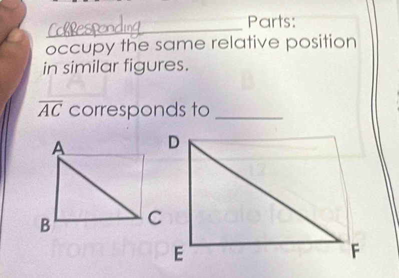 Parts: 
occupy the same relative position 
in similar figures.
overline AC corresponds to_