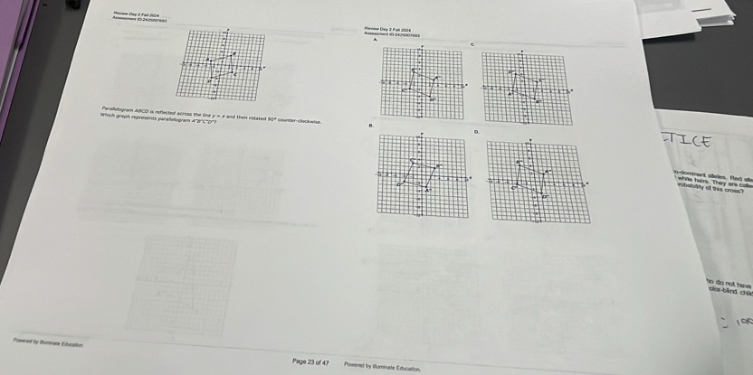 Paviane Cey 2 Foll 202 
, 

Parallelogram ABCD is reflected across the line y = x and then rotated 90 * counter-dockwise. 
Which graph represents paralletogram A'B°'C''O''') 
aodomnant atèles . Rad a 
whle hairs. They are cale 
mbanaity of this cross? 
no do not hav olo bằnd chế 
196 
Powered by illumrate Educaition Page 23 of 47 Powered by Iilluminate Education.