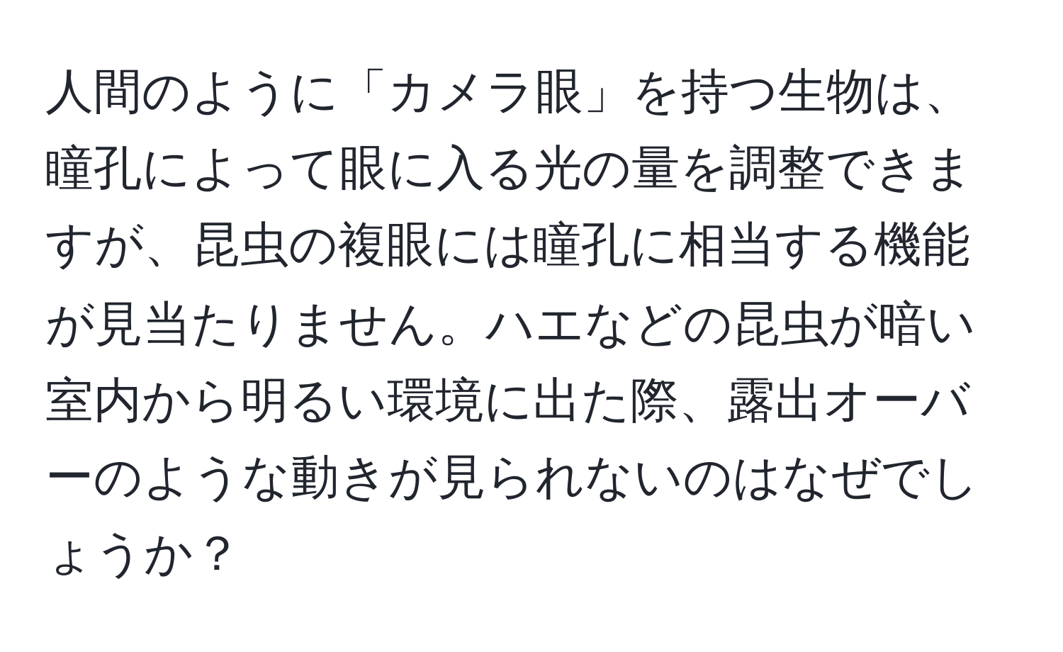 人間のように「カメラ眼」を持つ生物は、瞳孔によって眼に入る光の量を調整できますが、昆虫の複眼には瞳孔に相当する機能が見当たりません。ハエなどの昆虫が暗い室内から明るい環境に出た際、露出オーバーのような動きが見られないのはなぜでしょうか？
