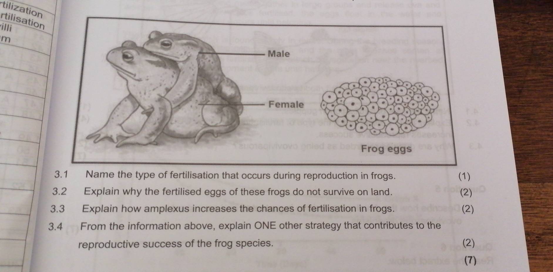 tilization 
rtilisation 
illi 
m 
Frog eggs 
3.1 Name the type of fertilisation that occurs during reproduction in frogs. (1) 
3.2 Explain why the fertilised eggs of these frogs do not survive on land. (2) 
3.3 Explain how amplexus increases the chances of fertilisation in frogs. (2) 
3.4 From the information above, explain ONE other strategy that contributes to the 
reproductive success of the frog species. (2) 
(7)