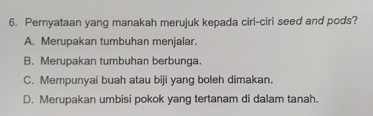 Pernyataan yang manakah merujuk kepada ciri-ciri seed and pods?
A. Merupakan tumbuhan menjalar.
B. Merupakan tumbuhan berbunga.
C. Mempunyai buah atau biji yang boleh dimakan.
D. Merupakan umbisi pokok yang tertanam di dalam tanah.