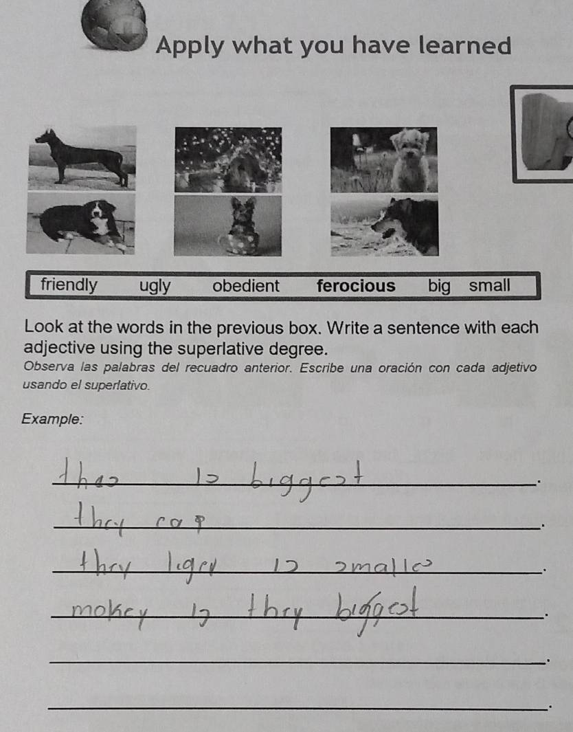 Apply what you have learned
friendly ugly obedient ferocious big small
Look at the words in the previous box. Write a sentence with each
adjective using the superlative degree.
Observa las palabras del recuadro anterior. Escribe una oración con cada adjetivo
usando el superlativo.
Example:
_.
_.
_.
_
_
.
__
..
_
、.