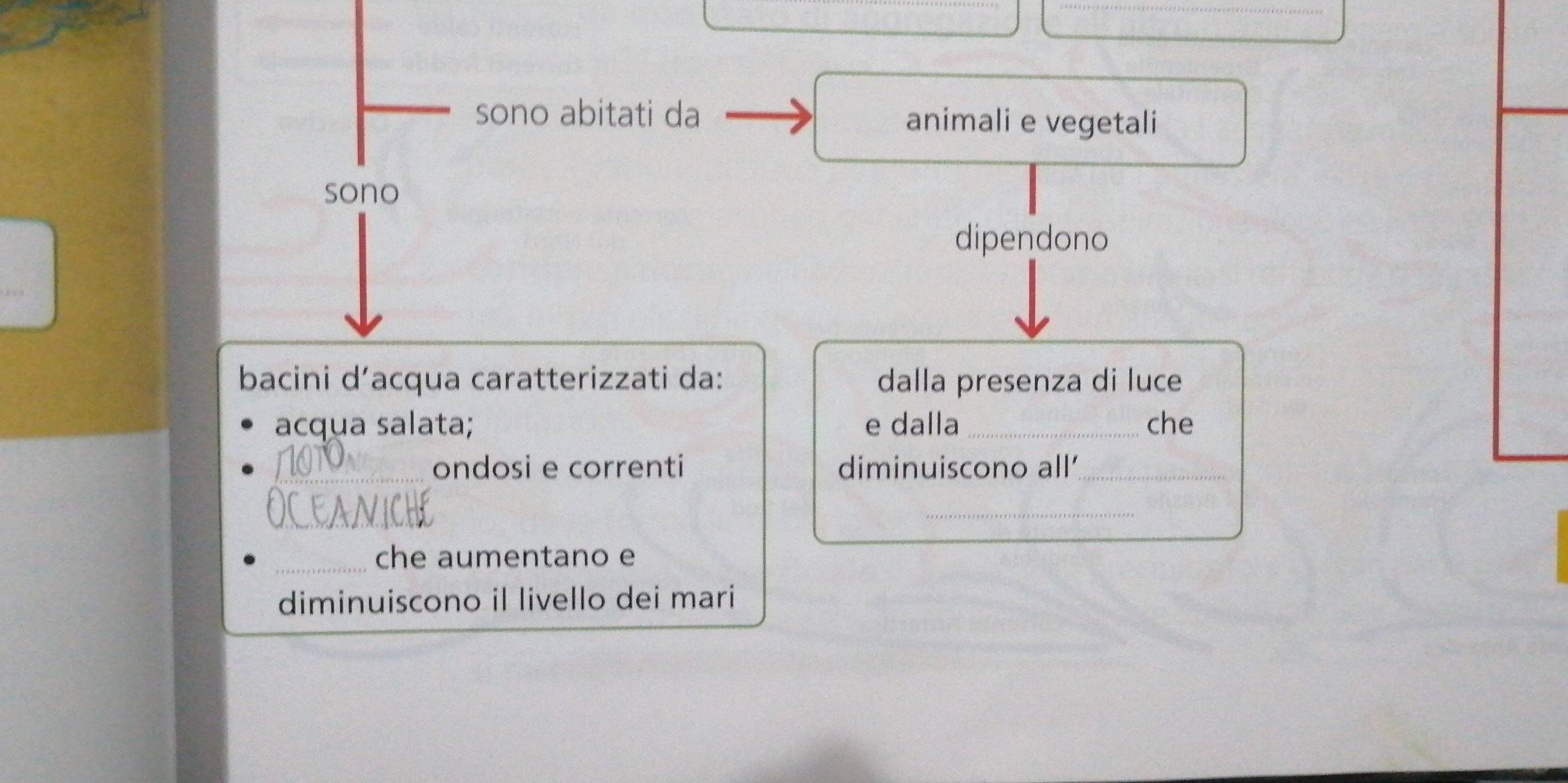 sono abitati da animali e vegetali 
sono 
dipendono 
bacini d’acqua caratterizzati da: dalla presenza di luce 
acqua salata; e dalla _che 
_ondosi e correnti diminuiscono all'_ 
_ 
_ 
_che aumentano e 
diminuiscono il livello dei mari