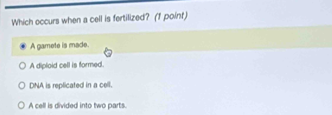 Which occurs when a cell is fertilized? (1 point)
A gamete is made.
A diploid cell is formed.
DNA is replicated in a cell.
A cell is divided into two parts.