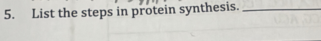 List the steps in protein synthesis._