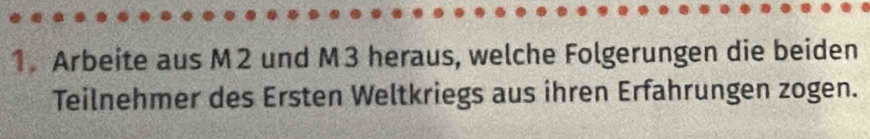 Arbeite aus M2 und M3 heraus, welche Folgerungen die beiden 
Teilnehmer des Ersten Weltkriegs aus ihren Erfahrungen zogen.