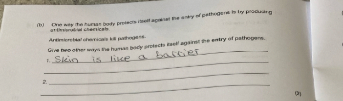 One way the human body protects itself against the entry of pathogens is by producing 
antimicrobial chemicals. 
Antimicrobial chemicals kill pathogens. 
Give two other ways the human body protects itself against the entry of pathogens. 
_1. 
_ 
_ 
2. 
_ 
(2)