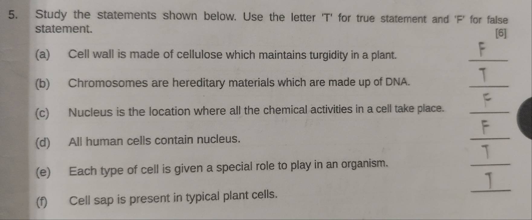 Study the statements shown below. Use the letter 'T' for true statement and 'F' for false 
statement. 
[6] 
(a) Cell wall is made of cellulose which maintains turgidity in a plant. 
_ 
(b) Chromosomes are hereditary materials which are made up of DNA. 
_ 
(c) Nucleus is the location where all the chemical activities in a cell take place._ 
(d) All human cells contain nucleus. 
_ 
(e) Each type of cell is given a special role to play in an organism. 
_ 
(f) Cell sap is present in typical plant cells. 
_