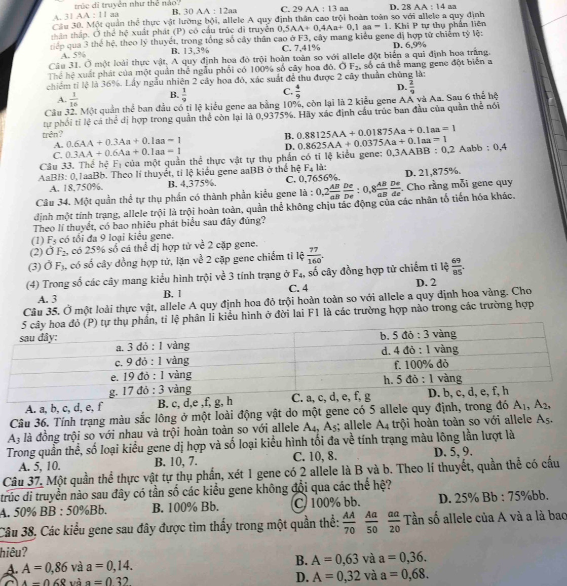trúc di truyền như thể nào?
A. 31 AA:11 aa B. 3 OAA:12aa C. 29 A A:13 aª D. 28AA:14 aa
Câu 30. Một quần the ở thực vật lưỡng bội, allele A quy định thân cao trội hoàn toàn so với allele a quy định
thân thập. Ở thể hhat o xuất phát (P) có cấu trúc di truyền 0,5A A+0,4Aa+0,1aa=1. Khi P tự thụ phần liên
tiếp qua 3 thể hệ, theo lý thuyết, trong tổng số cây thân cao ở F3, cây mang kiểu gene dị hợp tử chiếm tỷ lệ:
A. 5% B. 13,3% C. 7,41% D. 6,9%
Câu 31. O l một loài thực vật, A quy định hoa đỏ trội hoàn toàn so với allele đột biến a qui định hoa trắng.
Thể hệ xuất phát của một quần thể ngẫu phối có 100% số cây hoa đỏ. 0 F_2 số cá thể mang gene đột biến a
chiếm tỉ lệ là 36%. Lấy ngẫu nhiên 2 cây hoa đỏ, xác suất đề thu được 2 cây thuần chủng là:
A.  1/16 
B.  1/9 
C.  4/9 
D.  2/9 
Câu 32. Một quần thể ban đầu có tỉ lệ kiểu gene aa bằng 10%, còn lại là 2 kiểu gene AA và Aa. Sau 6 thế hệ
tự phối tỉ lệ cá thể dị hợp trong quần thể còn lại là 0,9375%. Hãy xác định cấu trúc ban đầu của quần thể nói
trên? 0.6AA+0.3Aa+0.1aa=1
B. 0.88125AA+0.01875Aa+0.1aa=1
A.
D. 0.8625AA+0.0375Aa+0.1aa=1
C. 0.3AA+0.6Aa+0.1aa=1
Câu 33. Thể hệ F_1 của một quần thể thực vật tự thụ phấn có tỉ lệ kiểu gene: 0,3AABB:0,2Aabb:0,4
AaBB: 0,1aaBb. Theo lí thuyết, ti lệ kiểu gene aaBB ở thế hệ F_4 là:
A. 18,750%. B. 4,375%. C. 0,7656%. D. 21,875%.
Câu 34. Một quần thể tự thụ phần có thành phần kiểu gene là : 0,2 AB/aB  De/De :0,8 AB/aB  De/de . Cho rằng mỗi gene quy
định một tính trạng, allele trội là trội hoàn toàn, quần thể không chịu tác động của các nhân tố tiến hóa khác.
Theo lí thuyết, có bao nhiêu phát biểu sau đây đúng?
(1) F_5 có tối đa 9 loại kiểu gene.
(2) O F_2 1 có 25% số cá thể dị hợp tử về 2 cặp gene.
(3) overline O F_3 có số cây đồng hợp tử, lặn về 2 cặp gene chiếm tỉ lệ  77/160 .
(4) Trong số các cây mang kiểu hình trội về 3 tính trạng ở F_4 , số cây đồng hợp tử chiếm tỉ lệ  69/85 .
D. 2
A. 3
B. 1 C. 4
Câu 35. Ở một loài thực vật, allele A quy định hoa đỏ trội hoàn toàn so với allele a quy định hoa vàng. Cho
tỉ lệ phân li kiểu hình ở đời lai F1 là các trường hợp nào trong các trường hợp
A. a, b, c, d, e, f B. c, d,e ,f, g, h
Câu 36. Tính trạng màu sắc lông ở một loài động vật do một gene có 5 allele quy định, trong đó A_1,A_2,
A_3 là đồng trội so với nhau và trội hoàn toàn so với allele A_4,A_5 : allele A_4 : trội hoàn toàn so với allele A5.
Trong quần thể, số loại kiểu gene dị hợp và số loại kiểu hình tối đa về tính trạng màu lông lần lượt là
A. 5, 10. B. 10, 7. C. 10, 8. D. 5, 9.
Câu 37. Một quần thể thực vật tự thụ phần, xét 1 gene có 2 allele là B và b. Theo lí thuyết, quần thể có cấu
trúc di truyền nào sau đây có tần số các kiểu gene không đổi qua các thế hệ?
A. 50% BB:50% Bb. B. 100% Bb. C 100% bb. D. 25% Bb:75% bb.
Câu 38, Các kiểu gene sau đây được tìm thấy trong một quần thể:  AA/70  Aa/50  aa/20 Tan số allele của A và a là bao
hiêu?
A. A=0,86 và a=0,14. B. A=0,63 và ? a=0,36.
A=068vdot a a=032
D. A=0,32 và a=0,68.
