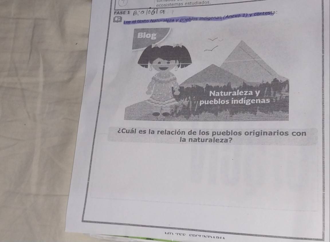 ecosistemas estudiados. 
FASE 1 
Lee el texto Naturaleza y pueblos indígenas (Anexo 1) y contesta : 
¿Cuál es la relación de los pueblos originarios con 
la naturaleza? 
e