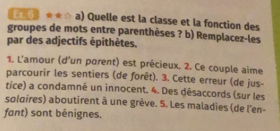 Ex 6 a) Quelle est la classe et la fonction des 
groupes de mots entre parenthèses ? b) Remplacez-les 
par des adjectifs épithètes. 
1. L'amour (d’un parent) est précieux. 2. Ce couple aime 
parcourir les sentiers (de forêt). 3. Cette erreur (de jus- 
tice) a condamné un innocent. 4. Des désaccords (sur les 
salaires) aboutirent à une grève. 5. Les maladies (de l'en- 
fant) sont bénignes.