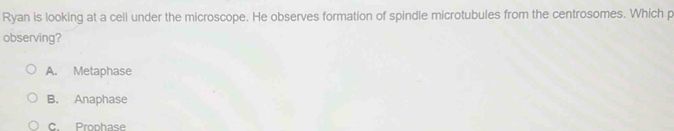 Ryan is looking at a cell under the microscope. He observes formation of spindle microtubules from the centrosomes. Which p
observing?
A. Metaphase
B. Anaphase
C. Prophase