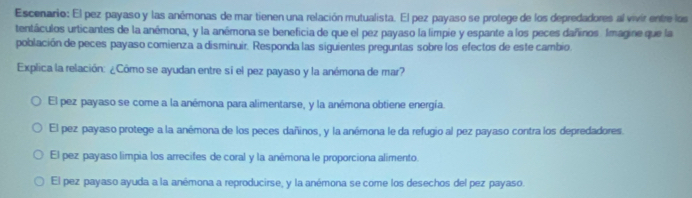 Escenario: El pez payaso y las anémonas de mar tienen una relación mutualista. El pez payaso se protege de los depredadores al vivir entre los
tentáculos urticantes de la anémona, y la anémona se beneficia de que el pez payaso la limpie y espante a los peces dañinos. Imagine que la
población de peces payaso comienza a disminuir. Responda las siguientes preguntas sobre los efectos de este cambio
Explica la relación: ¿Cómo se ayudan entre sí el pez payaso y la anémona de mar?
El pez payaso se come a la anémona para alimentarse, y la anémona obtiene energía.
El pez payaso protege a la anémona de los peces dañinos, y la anémona le da refugio al pez payaso contra los depredadores.
El pez payaso limpia los arrecifes de coral y la anémona le proporciona alimento.
El pez payaso ayuda a la anémona a reproducirse, y la anémona se come los desechos del pez payaso.