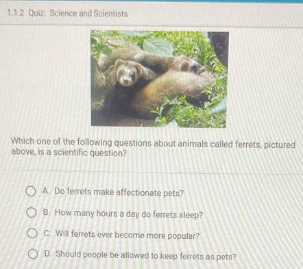 Science and Scientists
Which one of the following questions about animals called ferrets, pictured
above, is a scientific question?
A. Do ferrets make affectionate pets?
B. How many hours a day do ferrets sleep?
C. Will ferrets ever become more popular?
D. Should people be allowed to keep ferrets as pets?