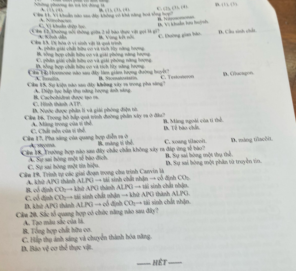 Những phương án trả lời đúng là (4) D. (1),(3),
A. (1), (4) 1. (1)(3),(4) C. (2),(3),
Cầu H1, Vì khuẩn nào sau đây không có khả năng hoá tổng hợp?
A. Nitrobacter.
B. Nítrosomonas.
C, Vị khuẩn diệp lục.
D. Vi khuẩn lưu huỳnh.
Câu 12 Đường nổi thông giữa 2 tế bào thực vật gọi là g1? D. Cầu sinh chất.
A. Kênh dẫn B. Vùng kết nổi. C. Dường gian bảo.
Câu 13. Dị hóa ở vị sinh vật là quá trình
A. phân giải chất hữu cơ và tích lũy năng hượng.
B. tổng hợp chất hữu cơ và giải phóng năng lượng.
C. phân giải chất hữu cơ và giải phóng năng lượng.
D. tổng hợp chất hữu cơ và tích lũy năng lượng.
Câu 14 Hormone nào sau đây làm giám lượng đường huyết?
A. Insulin. B. Stomatostatin. C. Testosteron D. Glucagon.
Câu 15. Sự kiện nào sau đây không xây ra trong pha sáng?
A. Diệp lục hấp thụ năng lượng ảnh sáng.
B. Cacbohidrat được tạo ra.
C. Hình thành ATP.
D. Nước được phân li và giải phóng điện tử.
Câu 16. Trong hộ hấp quá trình đường phân xây ra ở đâu?
A. Màng trong của tỉ thể. B. Màng ngoài của tỉ thể.
C. Chất nền của tỉ thể. D. Tế bào chất.
Câu 17. Pha sáng của quang hợp diễn ra ở
A. stroma. B. màng tỉ thể. C. xoang tilacoit. D. màng tilacôit.
Câu 18, Trường hợp nào sau đây chắc chấn không xảy ra đáp ứng tế bào?
A. Sự sai hóng một tế bào đích. B. Sự sai hỏng một thụ thể.
C. Sự sai hông một tín hiệu.  D. Sự sai hóng một phân tử truyền tin.
Câu 19. Trình tự các giai đoạn trong chu trình Canvin là
A. khử APG thành AI 1* 1 → tái sinh chất nhận → cổ định CO_2.
B. cd định OO → khử AD thành ALIG → tái sinh chất nhận.
C. _ _ _  6 định CO2→ tái sinh chất nhận → khủ APG thành ALPG.
D. khử APG thành A LPGto ∈fty định CO_2to - tái sinh chất nhận.
Câu 20. Sắc h^3 6  quang hợp có chức năng nào sau đây?
A. Tạo màu sắc của lá.
B Tổng hợp chất hữu cơ.
C. Hấp thụ ánh sáng và chuyển thành hóa năng.
D. Bảo vệ cơ thể thực vật.
_hết_