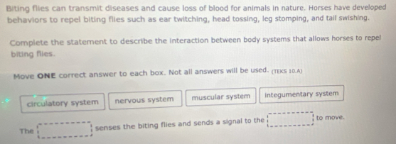 Biting flies can transmit diseases and cause loss of blood for animals in nature. Horses have developed
behaviors to repel biting flies such as ear twitching, head tossing, leg stomping, and tail swishing.
Complete the statement to describe the interaction between body systems that allows horses to repel
biting flies.
Move ONE correct answer to each box. Not all answers will be used. (TEKS 10.A)
circulatory system nervous system muscular system integumentary system
The □ senses the biting flies and sends a signal to the □ _ to move.