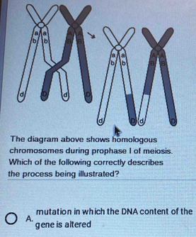 a a 
b 6 8 
a a A 1A 
b b B B 
a D d D 
a a p 
The diagram above shows homologous 
chromosomes during prophase I of meiosis. 
Which of the following correctly describes 
the process being illustrated? 
mutation in which the DNA content of the 
A. 
gene is altered