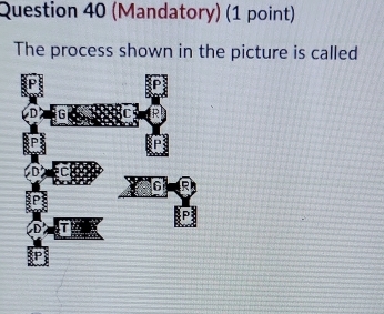 (Mandatory) (1 point) 
The process shown in the picture is called