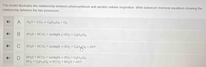 The model illustrates the relationship between photosynthesis and aerobic cellular respiration. Write balanced chemical equations showing the
relationship between the two processes.
A H_2O+CO_2Rightarrow C_6H_12O_6+O_2
B 6H_2O+6CO_2+sunlightleftharpoons 6O_2+C_6H_12O_6
C 6H_2O+6CO_2+sunlightRightarrow 6O_2+C_6H_3Q_6+ATP
6H_2O+6CO_2+sunlightRightarrow 6O_2+C_6H_12O_6
6O_2+C_6H_12O_6Rightarrow 6CO_2+6H_2O+ATP