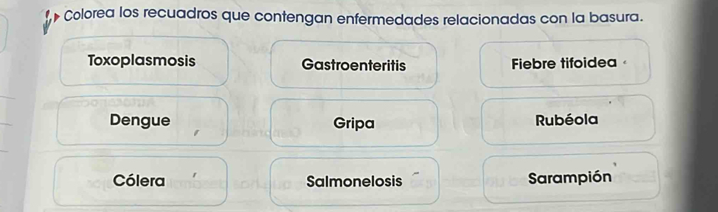 Colorea los recuadros que contengan enfermedades relacionadas con la basura. 
Toxoplasmosis Gastroenteritis Fiebre tifoidea 
Dengue Gripa Rubéola 
Cólera Salmonelosis Sarampión