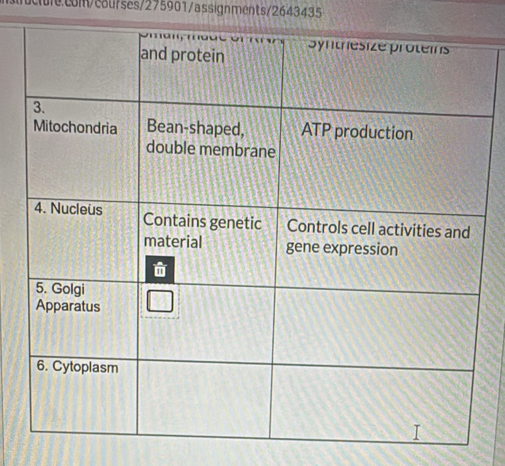 Sruclure.com/courses/275901/assignments/2643435